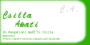 csilla apati business card